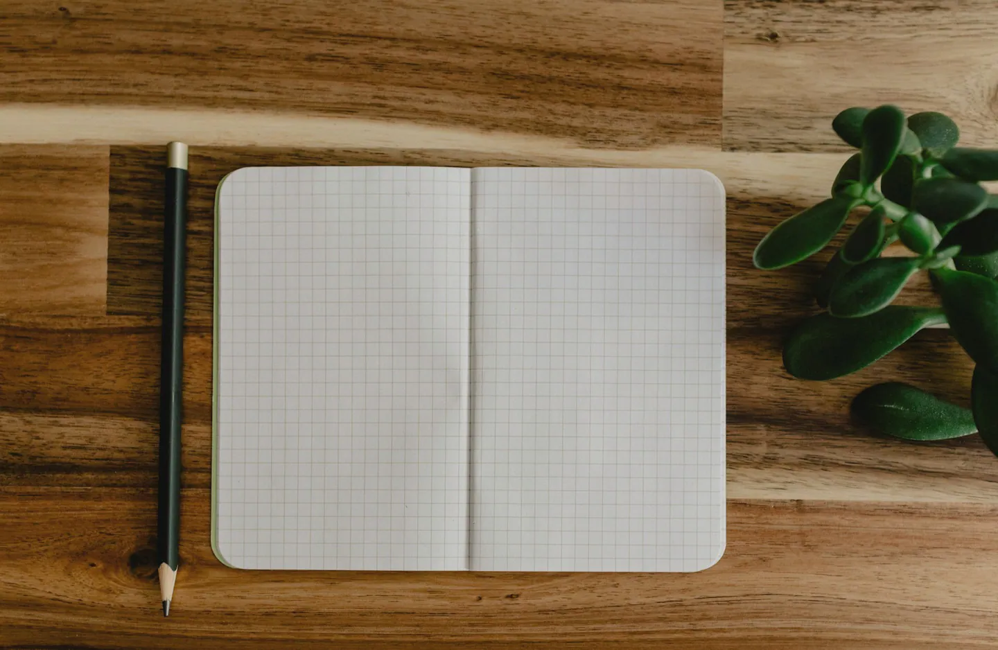 Carnet d'observation quadrillé ouvert sur une table en bois, crayon posé à côté