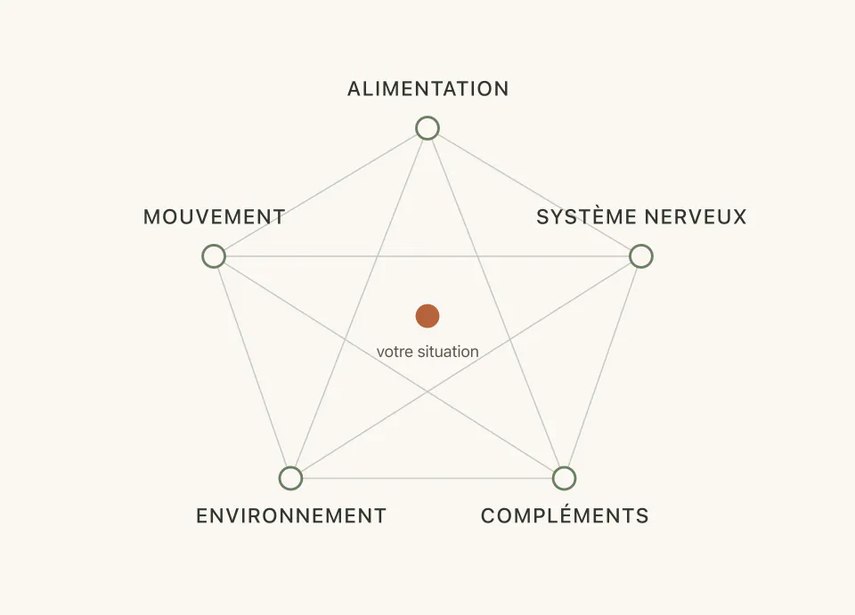 Schéma des cinq zones reliées : alimentation, mouvement, système nerveux, environnement, compléments